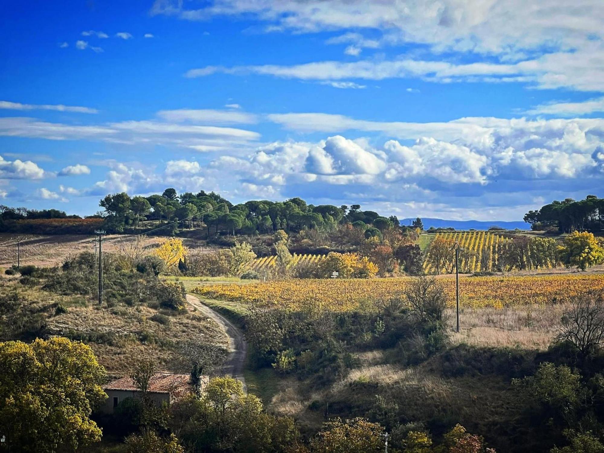 Logis Hotel Restaurant La Bergerie Aragon Εξωτερικό φωτογραφία